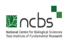 NCBS