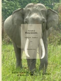 Reflective consciousness and the emergence of memes: Serial evolutionary pathways?