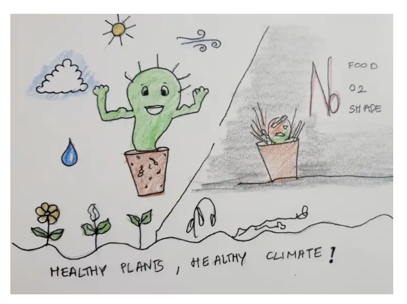 International Day of Plant Health