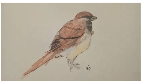 World Sparrow Day