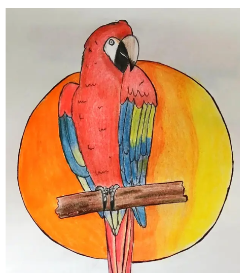 World Parrot Day