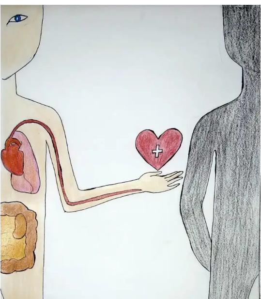 World Organ Donation Day
