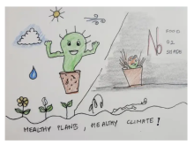 International Day of Plant Health