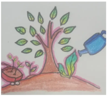 Nature Restoration Day