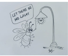 World Fireflies Day