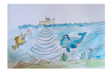 World Hydrography Day