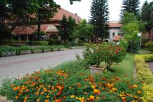 NIAS Wednesday Discussion