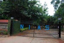nias